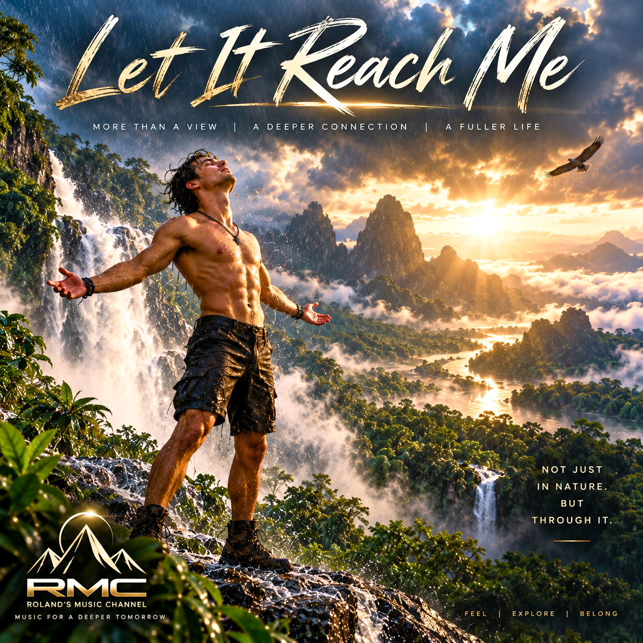 Cover: Let It Reach Me